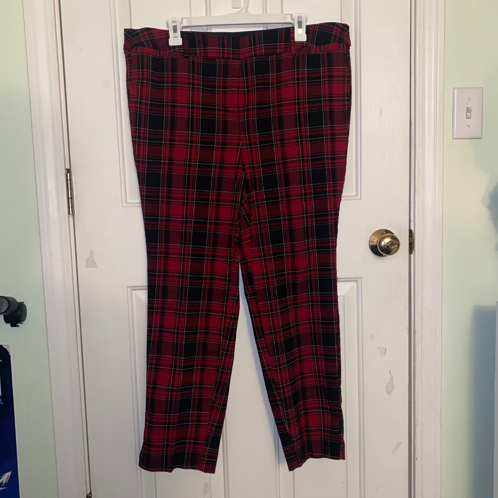 Lane Bryant pants